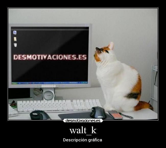 walt_k -