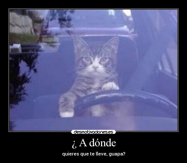 ¿ A dónde -