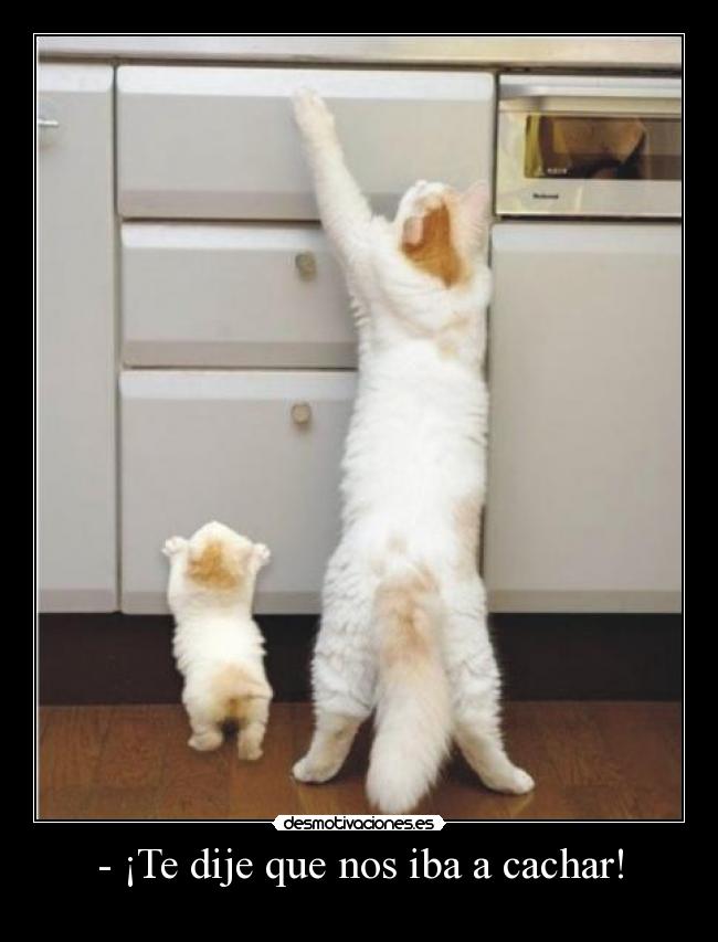 - ¡Te dije que nos iba a cachar! -