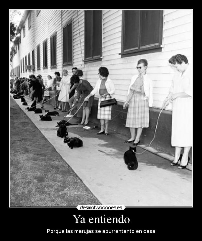 carteles neptun4 desmotivaciones