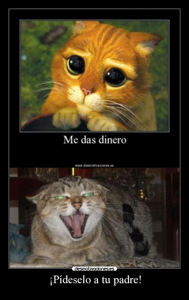 ¡Pídeselo a tu padre! -