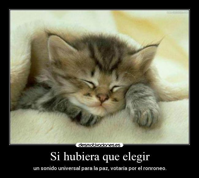 Si hubiera que elegir -