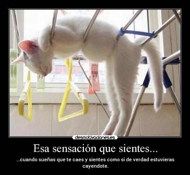 Esa sensación que sientes... -