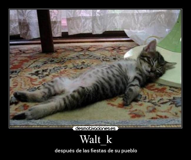 Walt_k - 