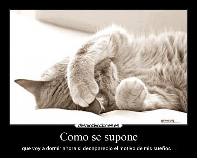 Como se supone - 