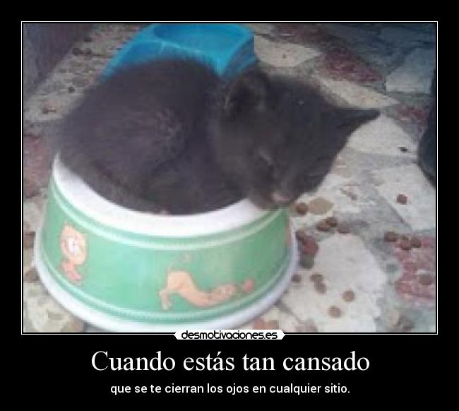 Cuando estás tan cansado - que se te cierran los ojos en cualquier sitio.