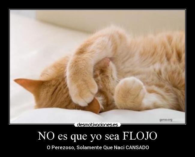 NO es que yo sea FLOJO - O Perezoso, Solamente Que Naci CANSADO