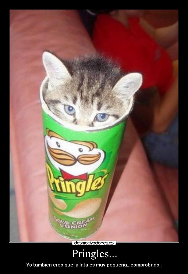 Pringles... - Yo tambien creo que la lata es muy pequeña...comprobado¡¡