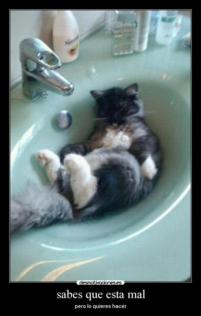 sabes que esta mal - pero lo quieres hacer