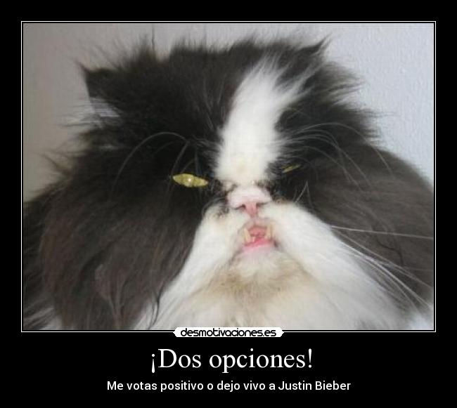 ¡Dos opciones! - 