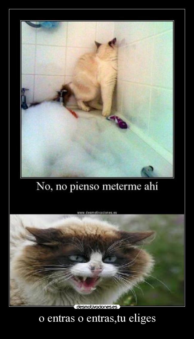 o entras o entras,tu eliges -