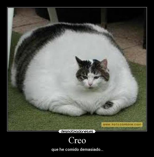 Creo -