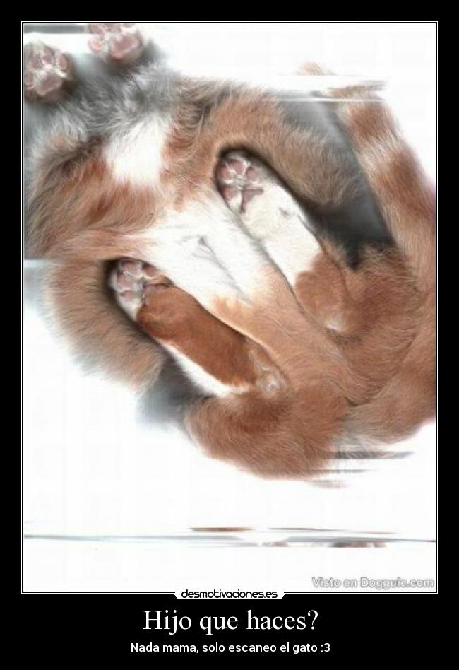 Hijo que haces? - 
