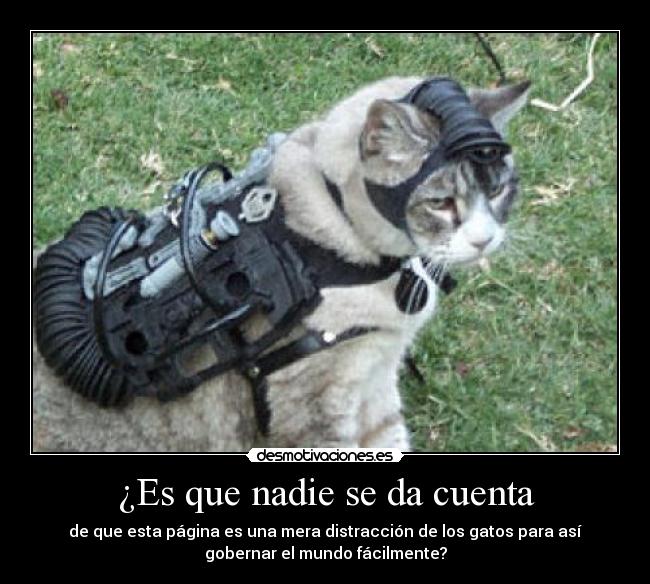 ¿Es que nadie se da cuenta -