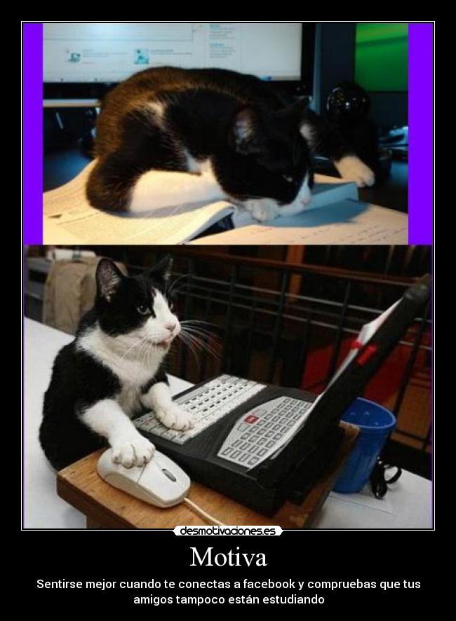 Motiva - Sentirse mejor cuando te conectas a facebook y compruebas que tus
amigos tampoco están estudiando