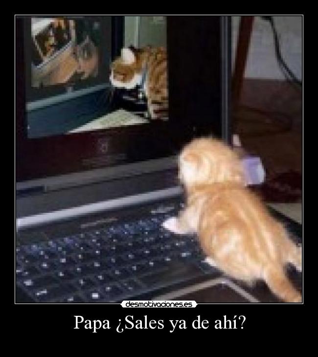 Papa ¿Sales ya de ahí? -