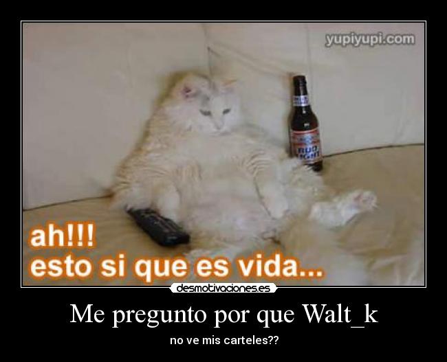 Me pregunto por que Walt_k - 