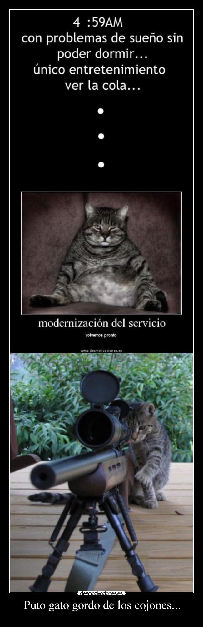 carteles cartel cona para expresar frustracion t_t nereagothic desmotivaciones