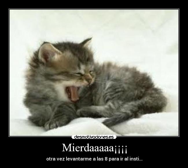 Mierdaaaaa¡¡¡¡ - otra vez levantarme a las 8 para ir al insti...