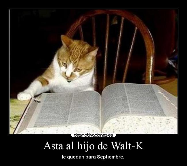 Asta al hijo de Walt-K -
