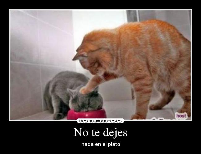 No te dejes - 