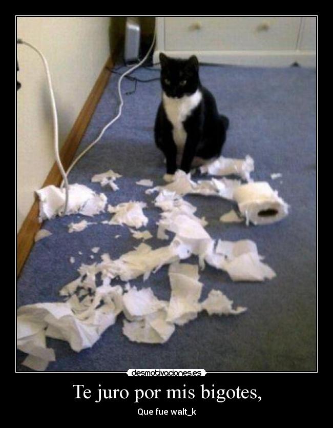 Te juro por mis bigotes, - 