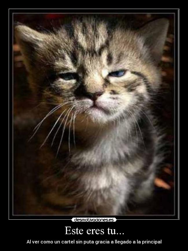 Este eres tu... - Al ver como un cartel sin puta gracia a llegado a la principal