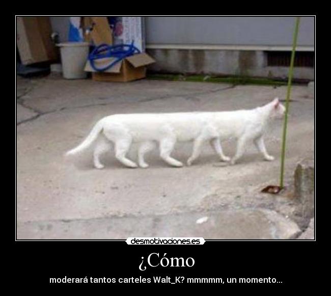¿Cómo - moderará tantos carteles Walt_K? mmmmm, un momento...