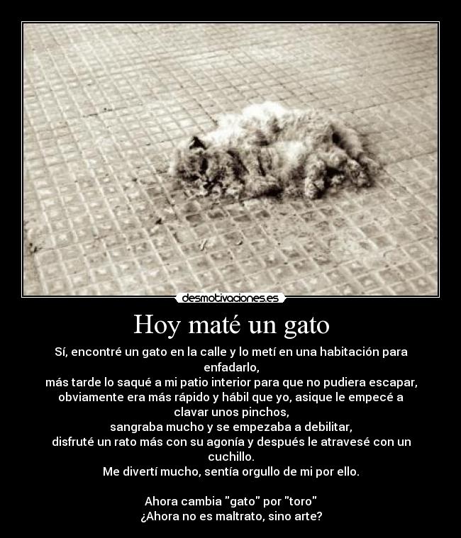 Hoy maté un gato - 