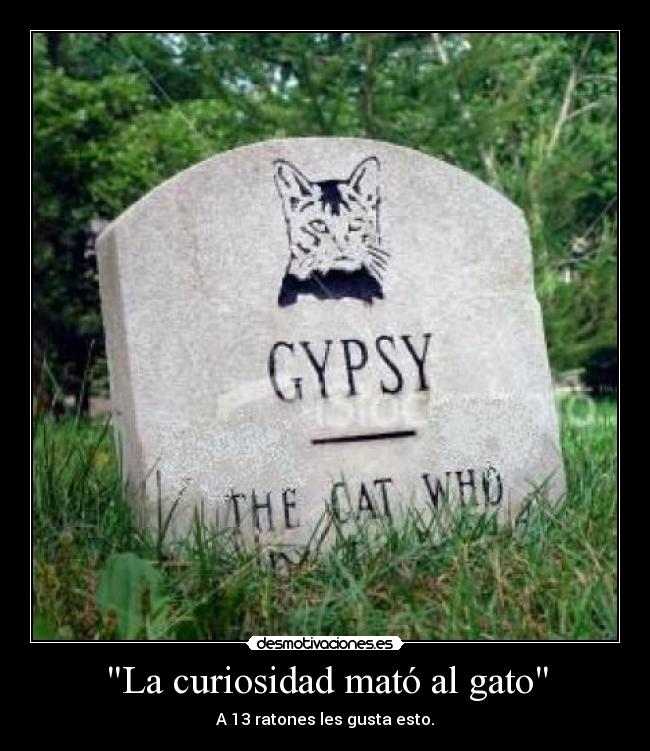 La curiosidad mató al gato - A 13 ratones les gusta esto.