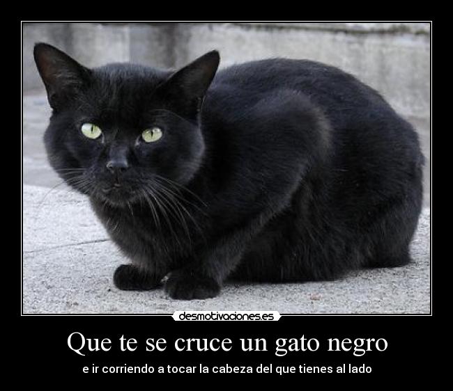 Que te se cruce un gato negro - 
