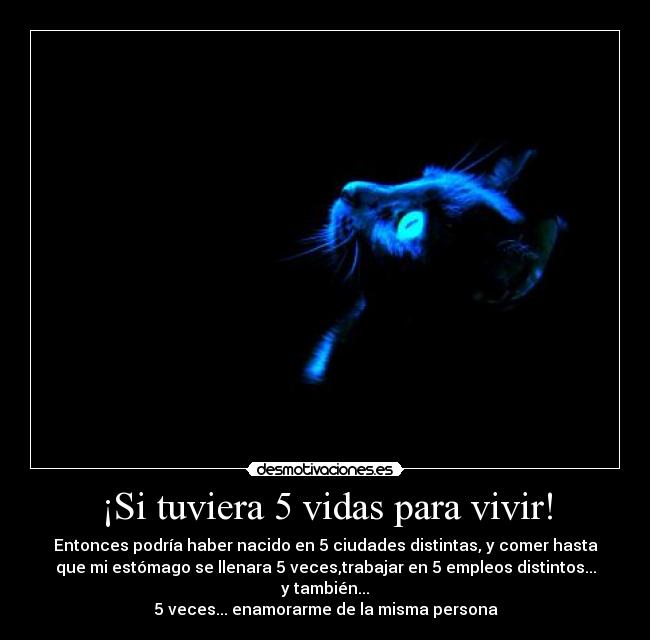 ¡Si tuviera 5 vidas para vivir! -