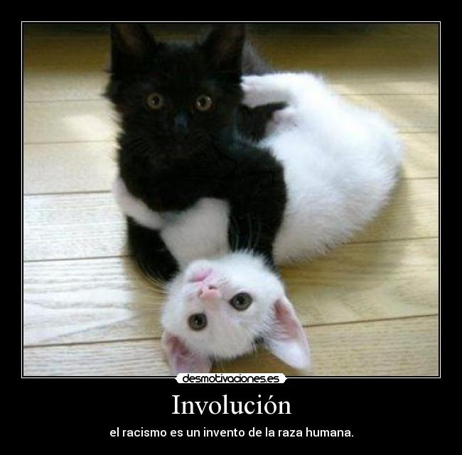 Involución - 