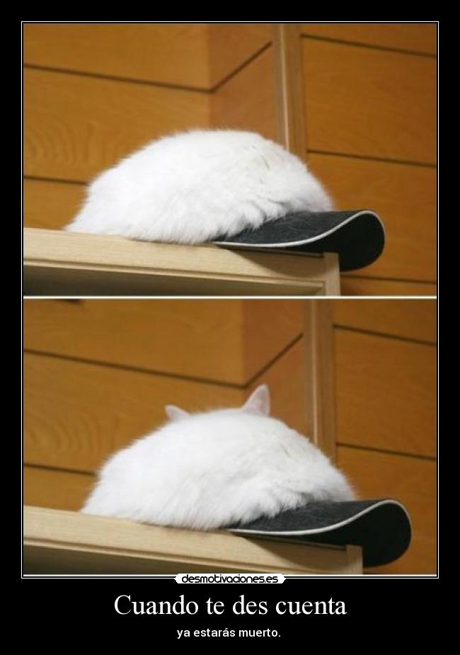 Cuando te des cuenta - ya estarás muerto. 