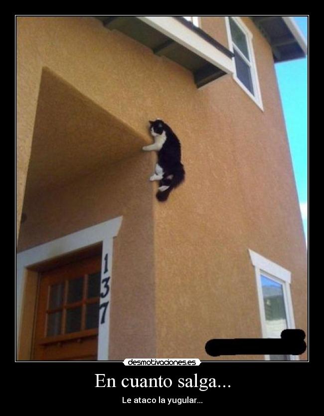 En cuanto salga... -