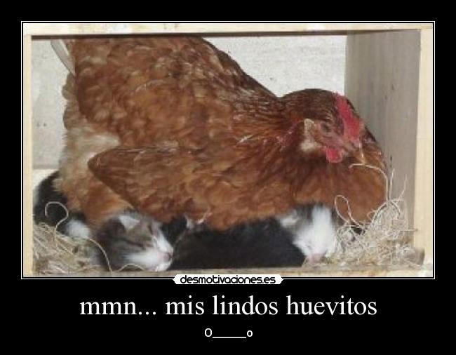 mmn... mis lindos huevitos - 