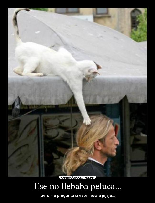 Ese no llebaba peluca... - 
