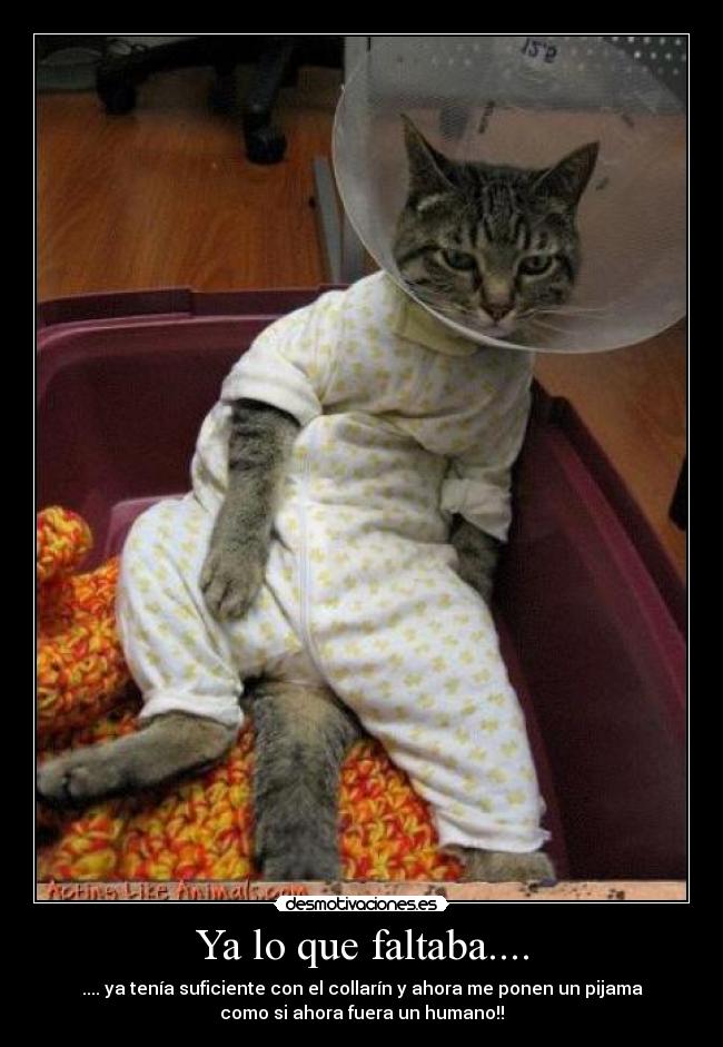 Ya lo que faltaba.... - 