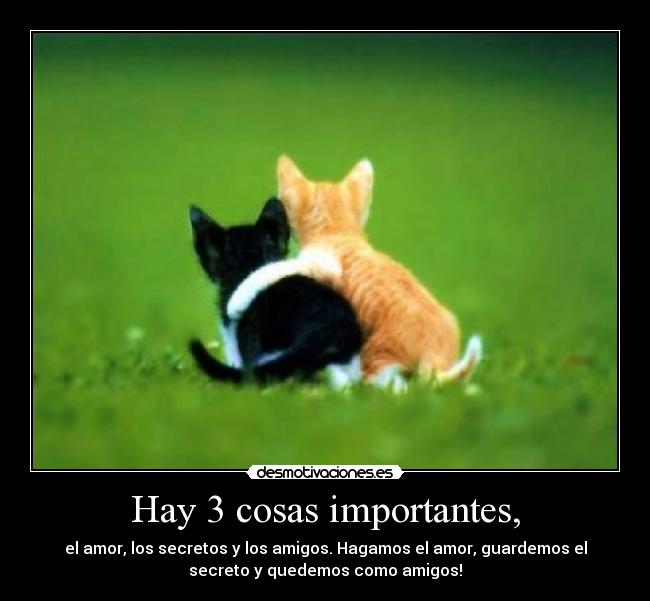 Hay 3 cosas importantes, -