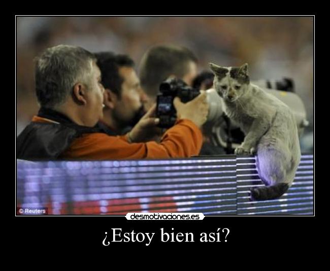 ¿Estoy bien así? -