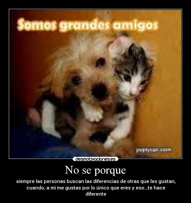 No se porque - siempre las personas buscan las diferencias de otras que les gustan,
cuando, a mi me gustas por lo único que eres y eso...te hace
diferente