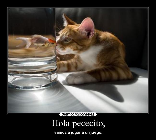 Hola pececito, -