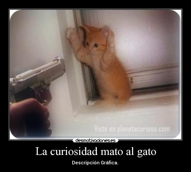 La curiosidad mato al gato - 