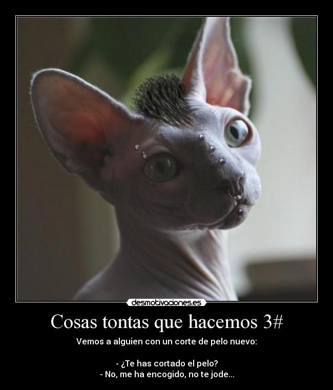 Cosas tontas que hacemos 3# - 