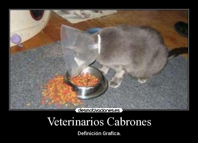 Veterinarios Cabrones - Definición Grafíca.