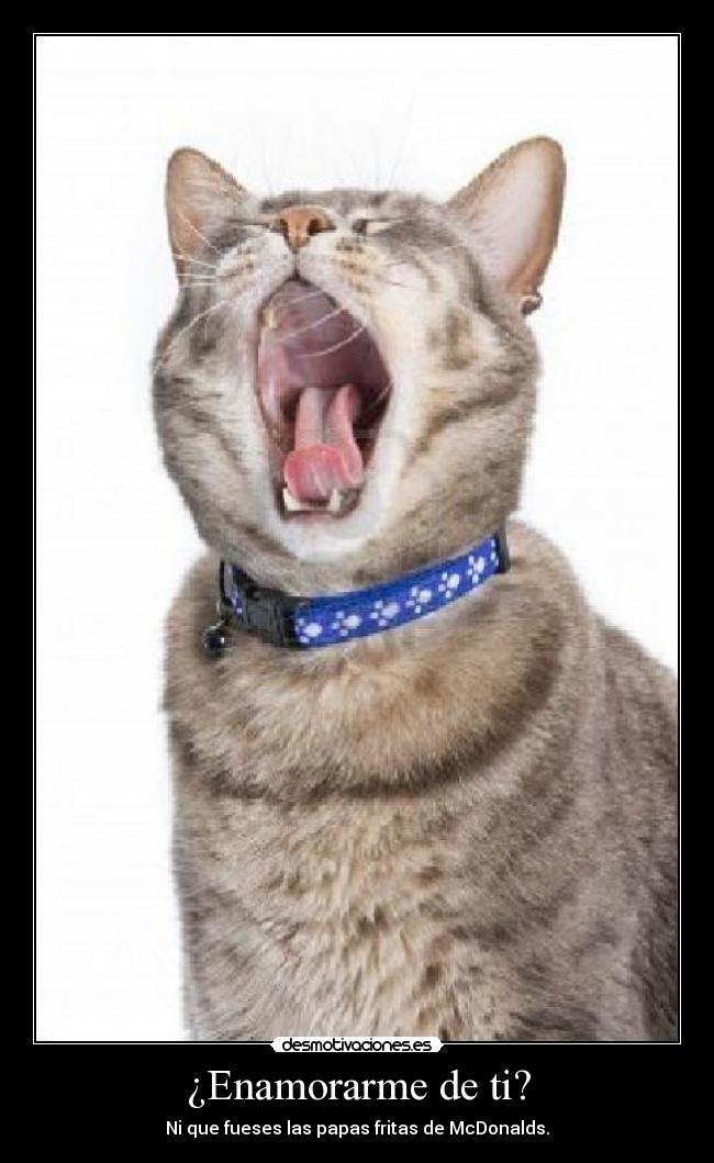 ¿Enamorarme de ti? - Ni que fueses las papas fritas de McDonalds.