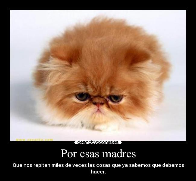 Por esas madres - Que nos repiten miles de veces las cosas que ya sabemos que debemos hacer.