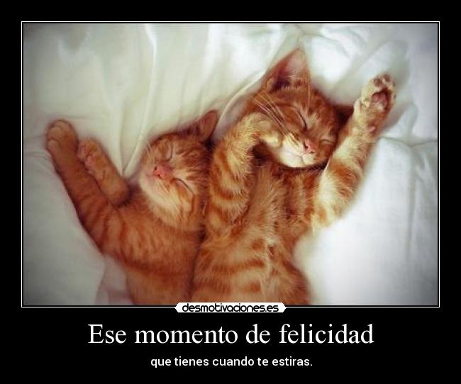 Ese momento de felicidad -