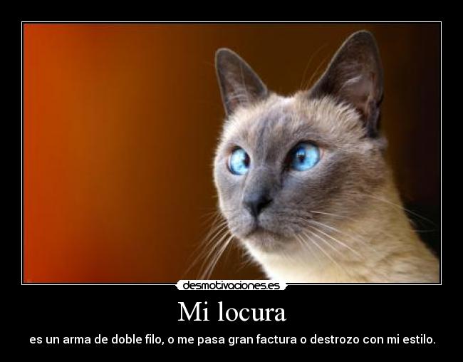 Mi locura - es un arma de doble filo, o me pasa gran factura o destrozo con mi estilo.