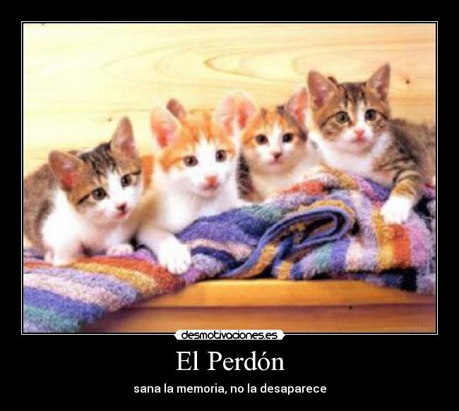 El Perdón - sana la memoria, no la desaparece